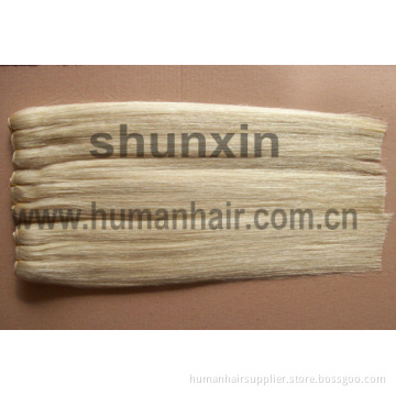 Goddess Remi 100% Russian Human Hair Weft